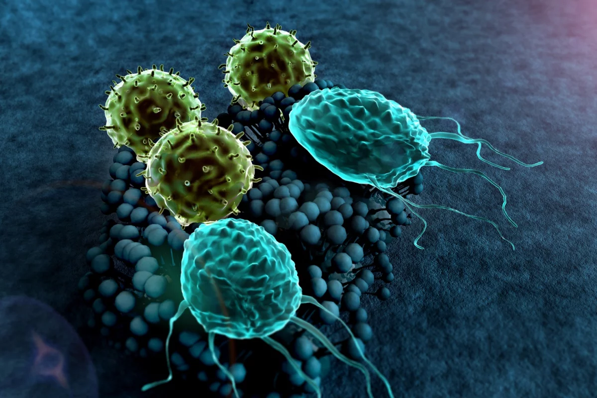 It's hoped the discovery of an immune system "master switch" will lead to new clinical treatments for autoimmune diseases within the next few years