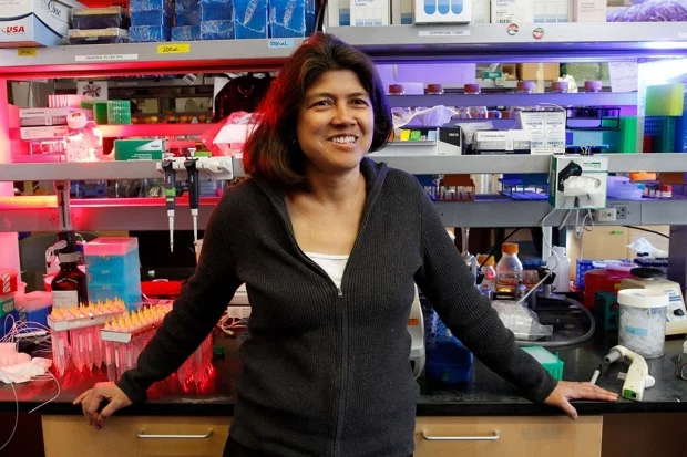 Mary Teruel is senior author of the study