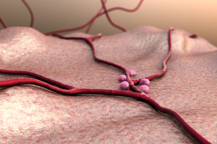 Artist's impression of beta cells in the pancreas