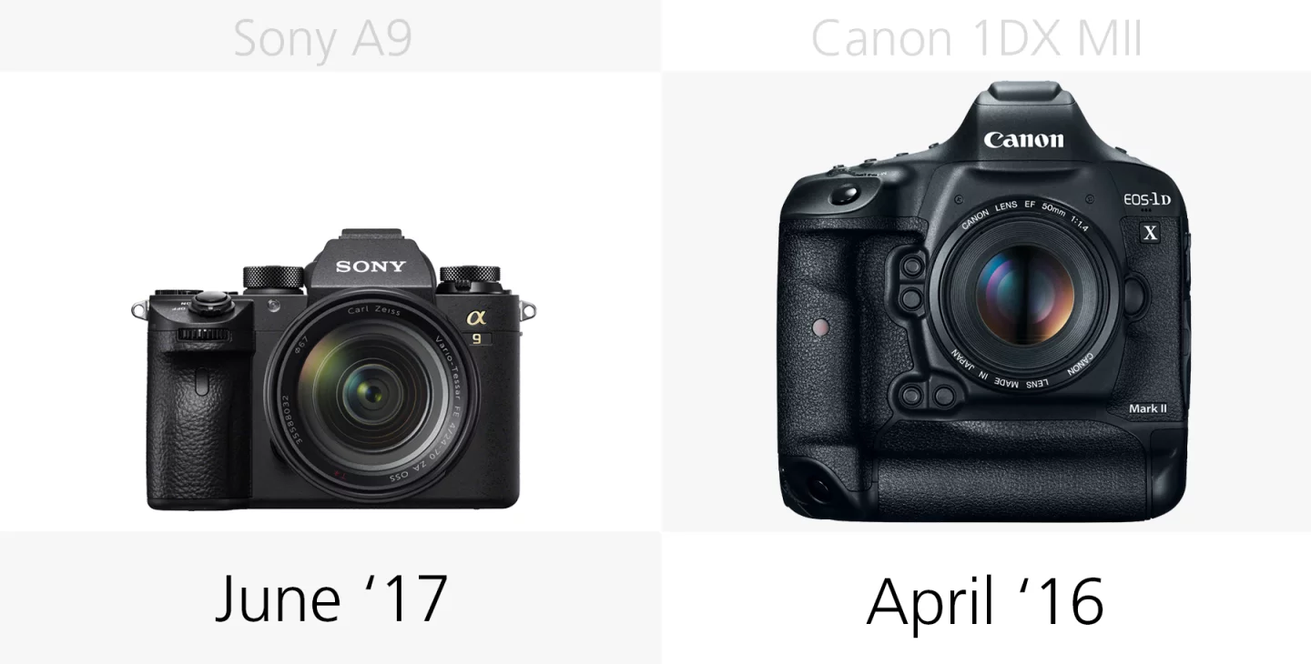 Comparing the release dates of the Sony A9 and Canon 1DX Mark II