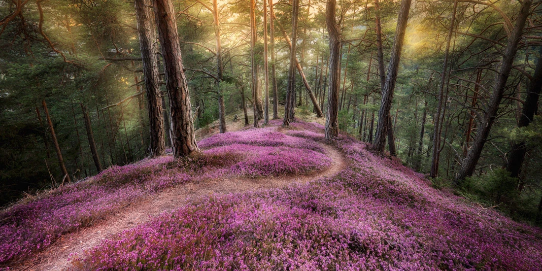 Highlight from the top 50 in Amateur Landscape / Nature