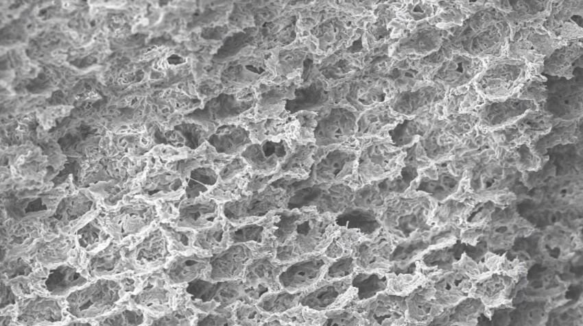 A microscope image of the polymer's foam-like structure