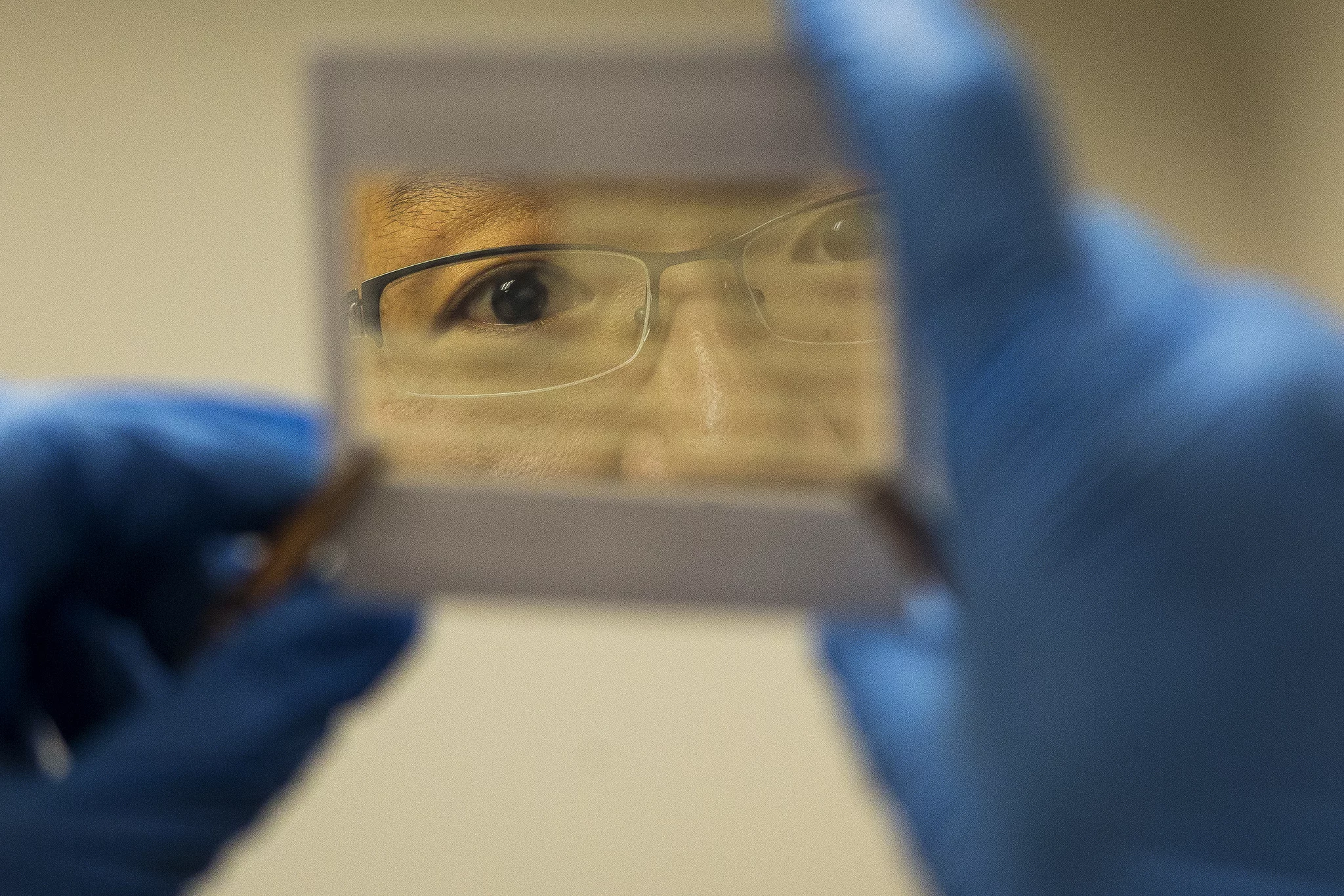 A colored solar cell that is reflective, rather than transparent (Photo: Joseph Xu, Michigan Engineering Communications & Marketing)