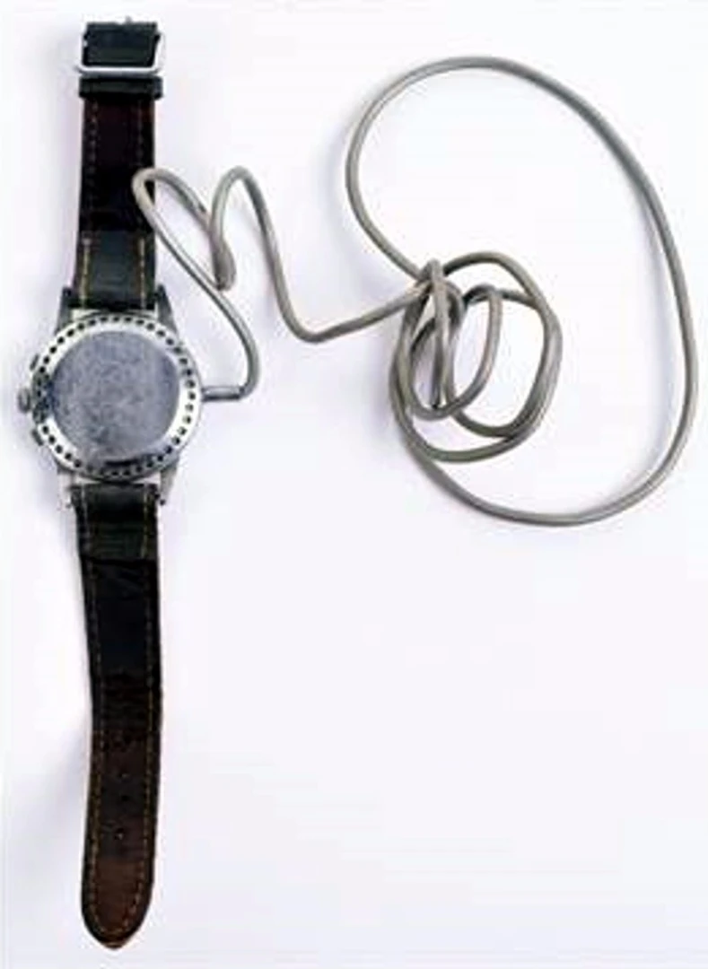 Back of the microphone watch