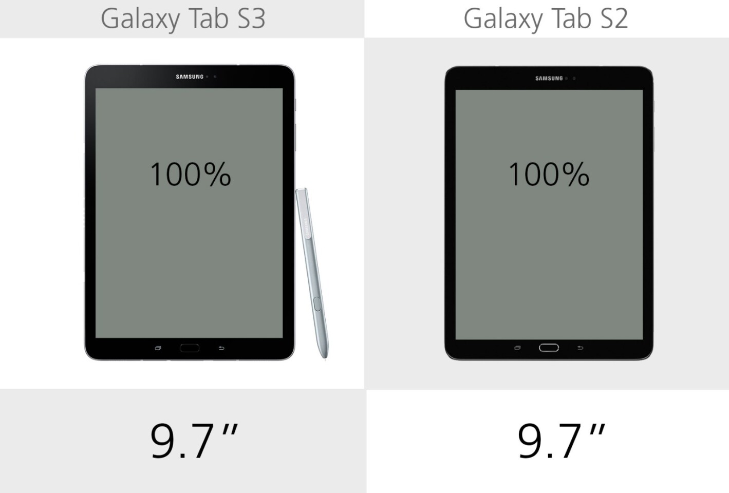 Display size