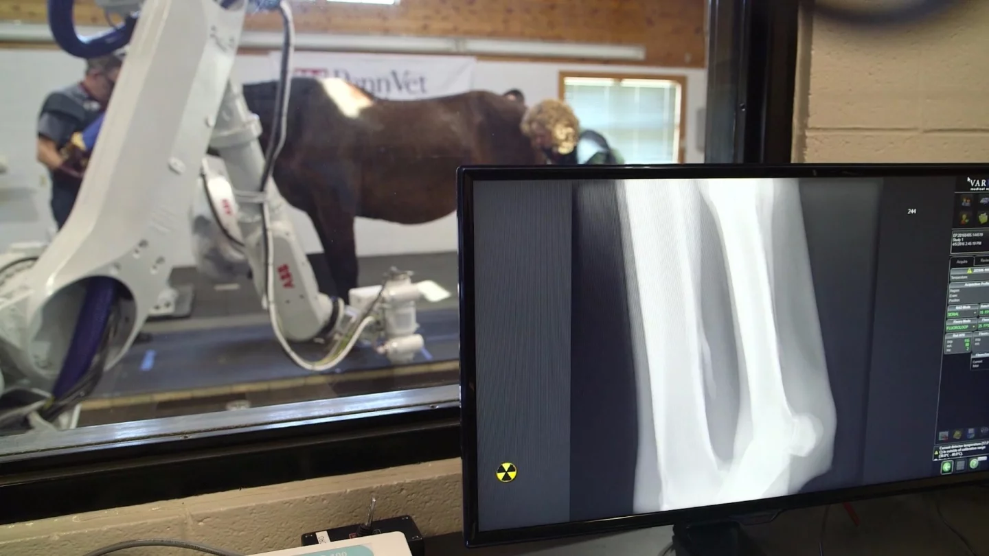 As the project continues, the researchers hope to be able to capture imagery of the horses running on a treadmill, correcting for the significant motion that would entail