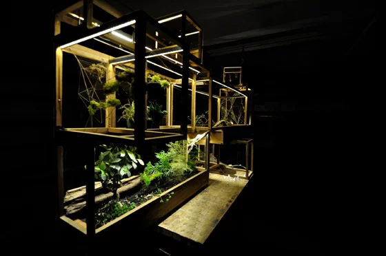 Control water settings when home or away