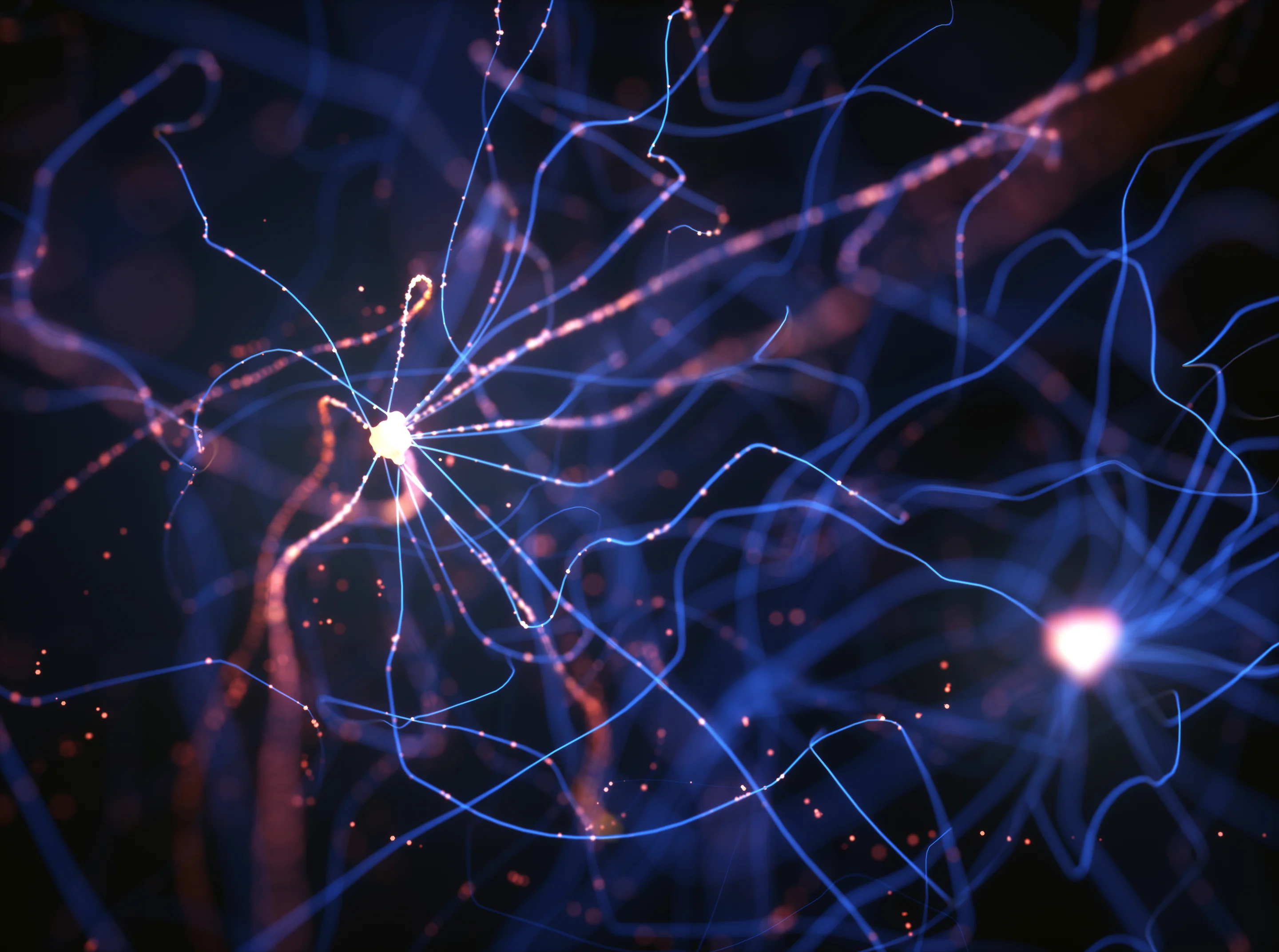 World First Memory In a first, memory shown to have two distinct past and future paths