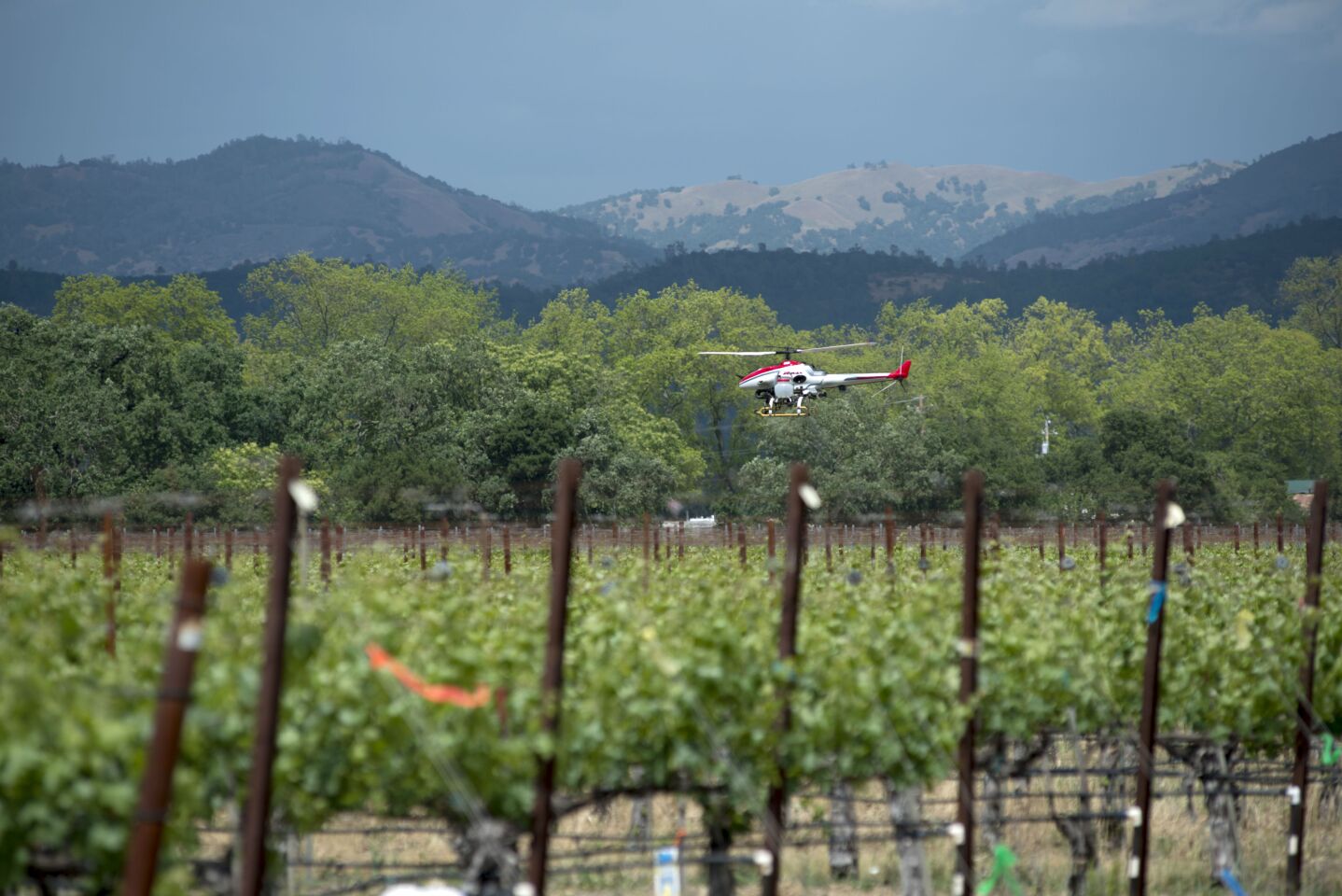 The UC Davis project aims at adapting Japanese UAV techniques for US farming