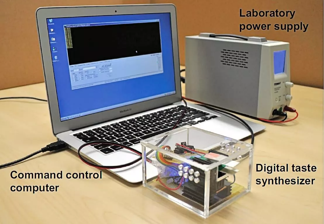 The digital taste interface supplies electrical and thermal stimulation simultaneously to the tongue (Photo: National University of Singapore)