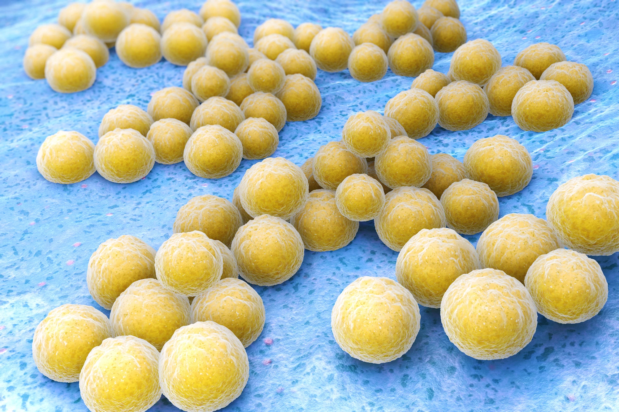 In lab tests, LumaFlo reportedly eradicated 99.997% of airborne Staphylococcus bacteria (pictured) in just 90 minutes