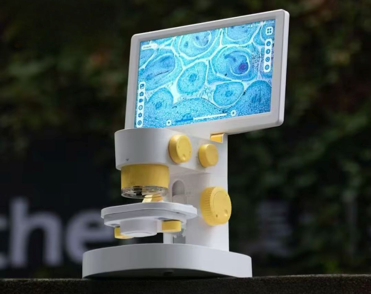 Three levels of magnification are available - 100x, 800x and 2200x