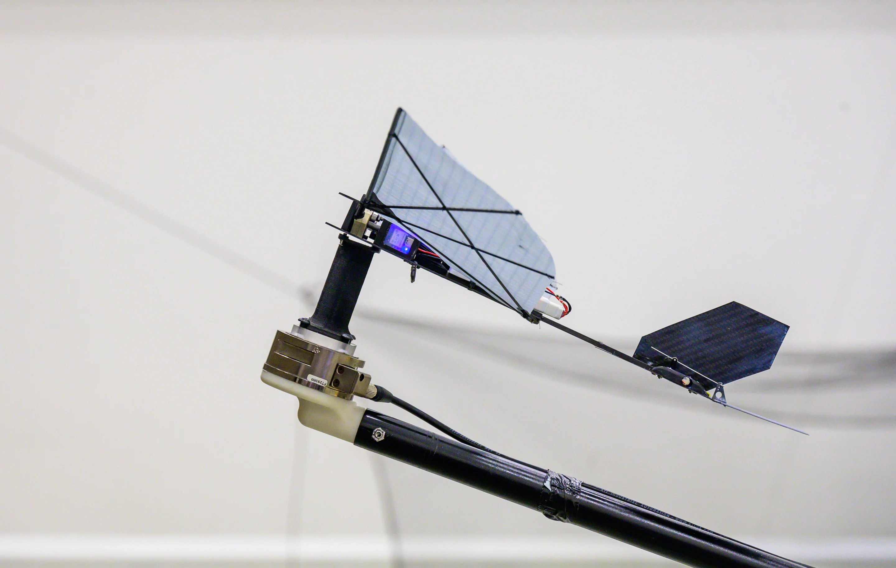 A short tail is important because a long submerged tail drags the robot back down during water exit