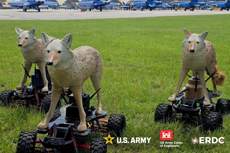 Why use an ordinary robot when you could deploy a robotic coyote? That’s the idea behind the U.S. Army Engineer Research and Development Center’s (ERDC) project—a cybernetic prairie predator designed to keep airfields free of dangerous wildlife.