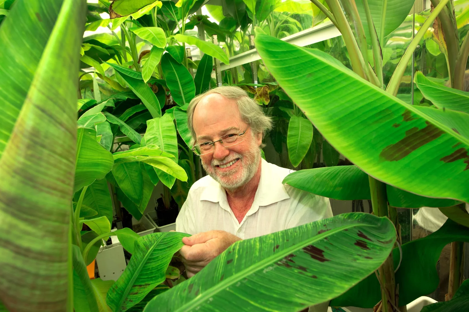 Prof. James Dale has been working on the project for over 10 years