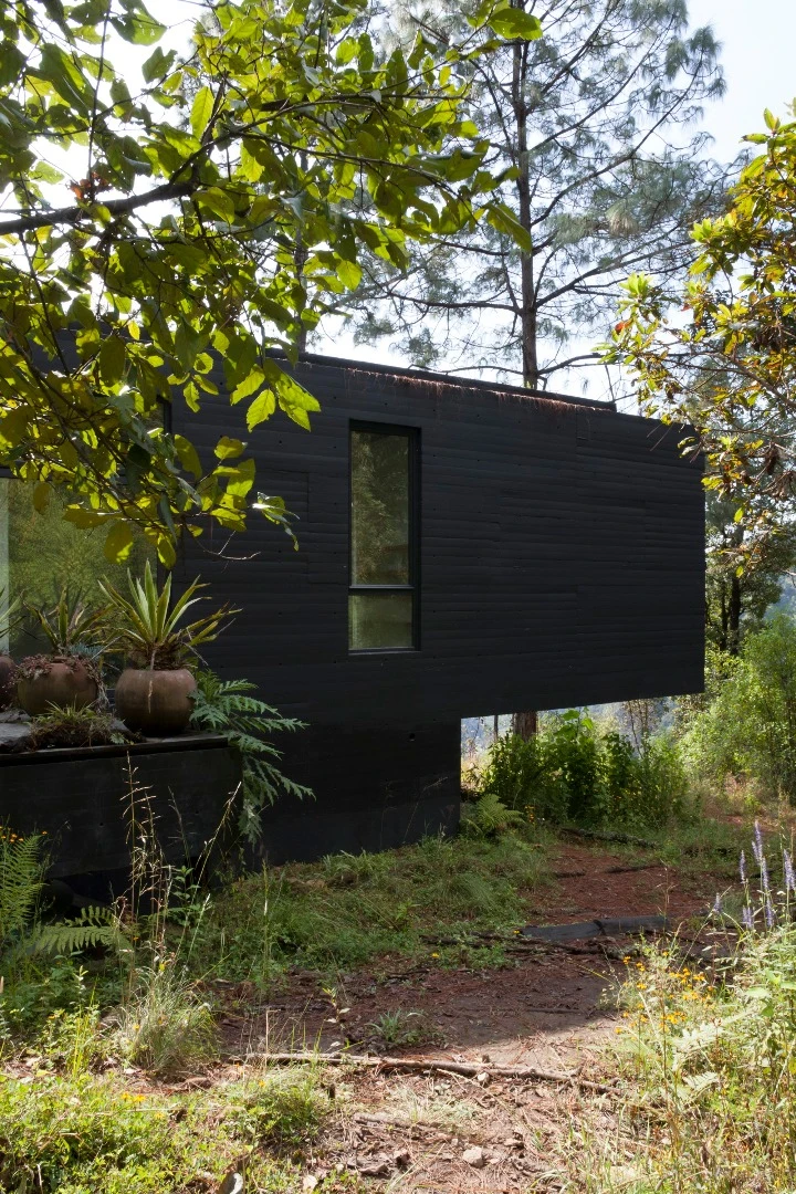 Greenery surrounds the Casa de la Roca