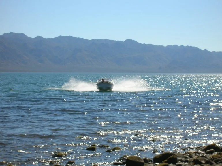 The Sportboat version of the Zingy