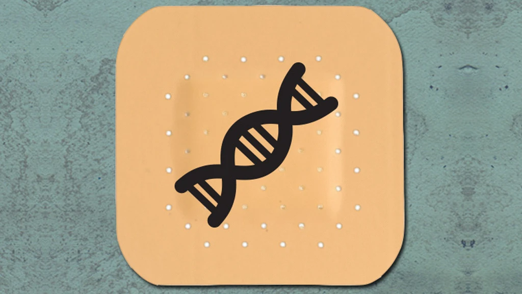 A conceptual image of the vaccine patch developed at MIT that could enable the use of DNA vaccines in humans (Image: Christine Daniloff/MIT)