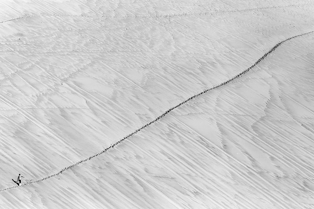 Winner of 3rd place in the Professional Travel category: Łukasz Grudysz - The long trip. The Taklamakan desert