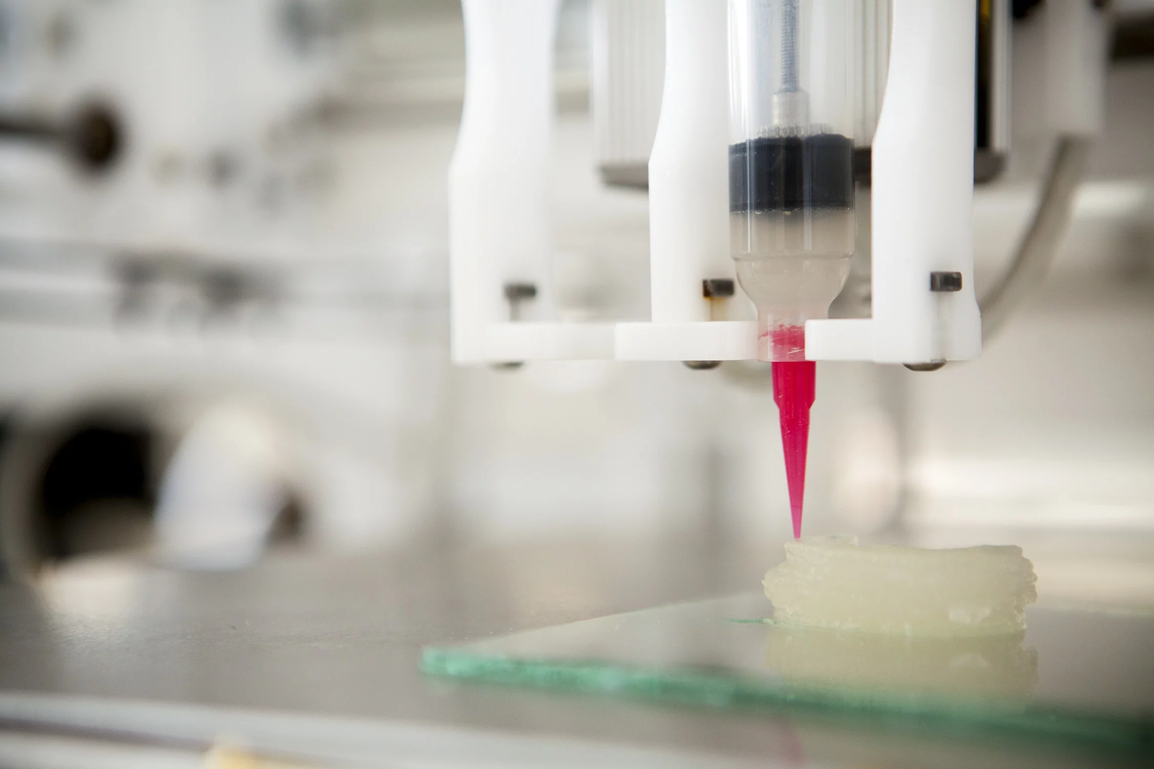 Cornell's 3D printer, fabricating one of the ears (Photo: Lindsay France/Cornell University Photography)