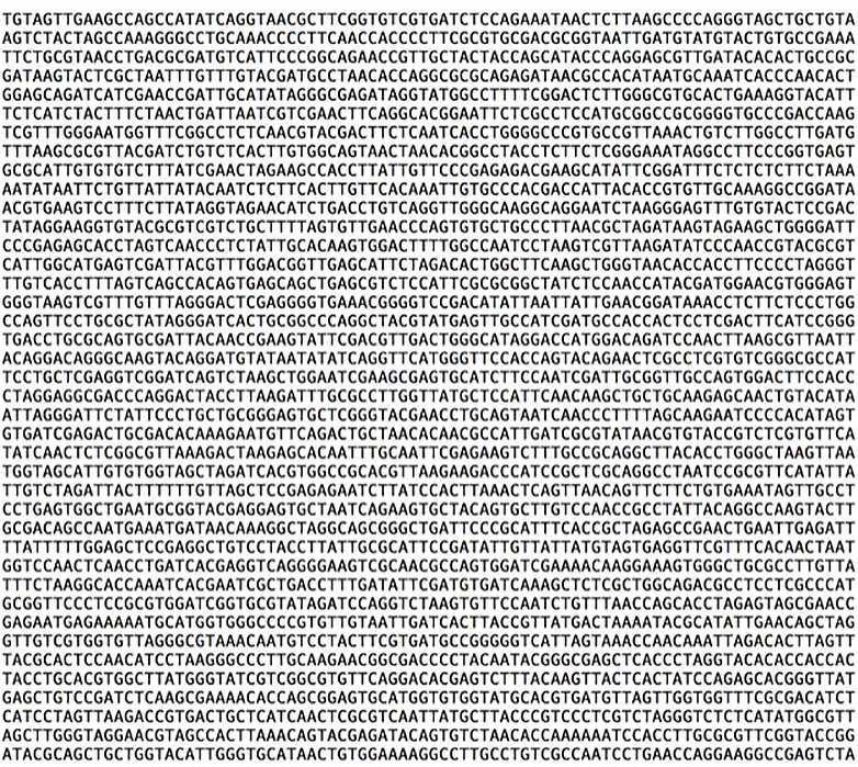 A small portion of Mezzanine's audio data translated into genetic code