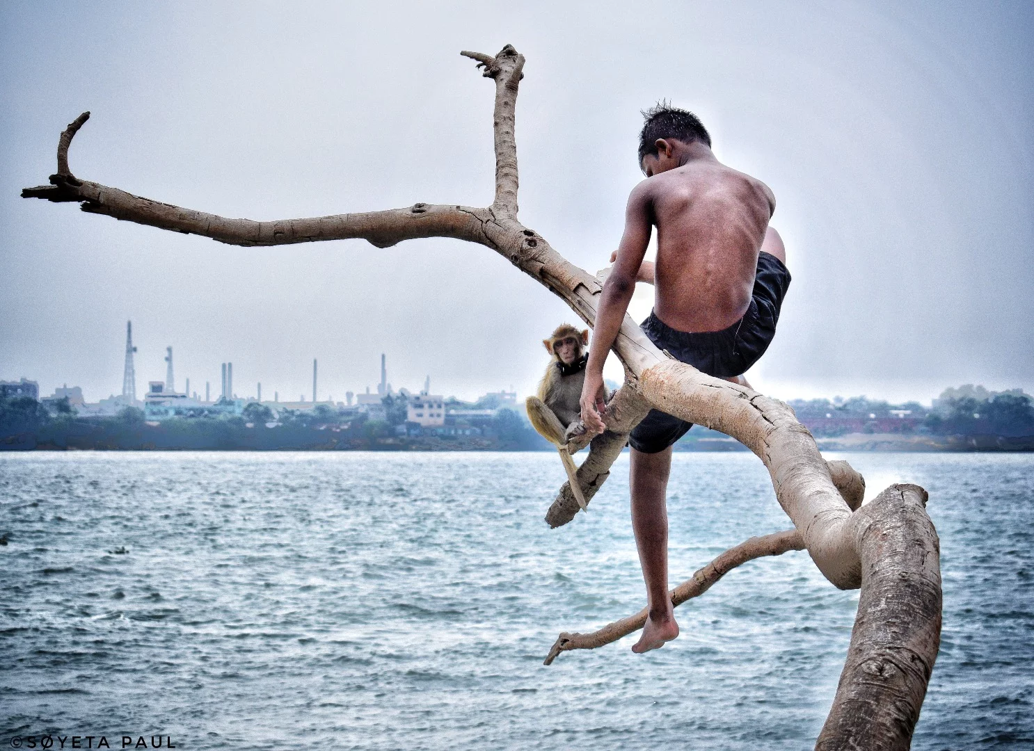 2nd Place in the Youth category - aged 16 to 18. Soyeta Paul "He and his friend in City of Joy", taken Kolkata, India