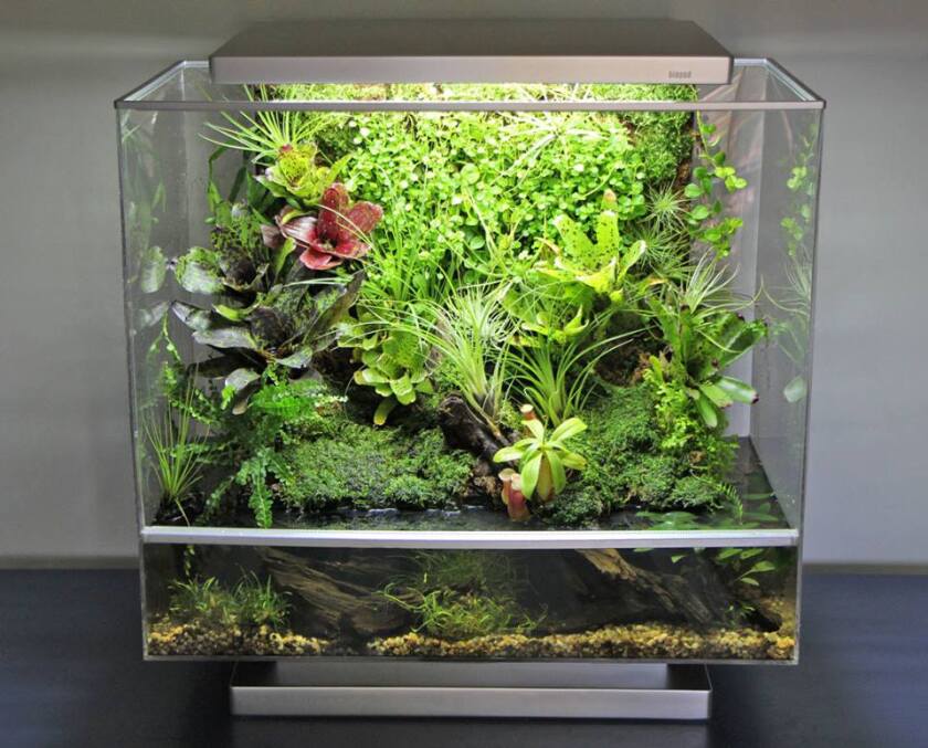 One Biopod model includes an aquatic component