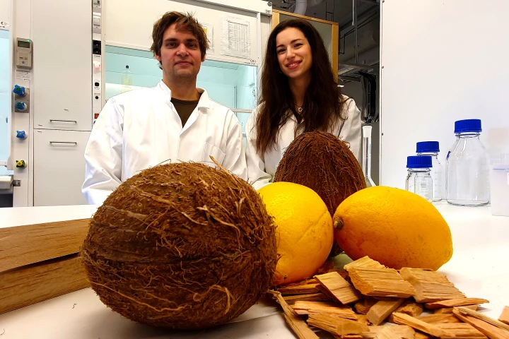 Researchers have combined modified wood with molecules derived from lemons and coconuts to create a building material capable of storing and releasing thermal energy