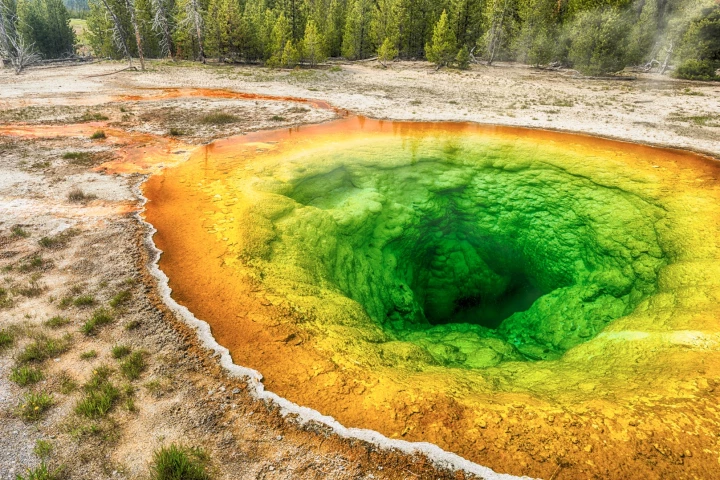 Hardy microbes that make their home in volcanic pools may hold the key to a new anti-aging drug
