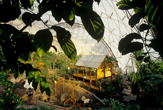 Inside the Rainforest Biome(Image by Eden Project)