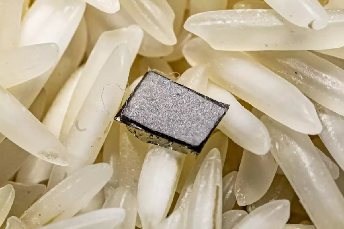 A sample of the "magnetoelectric" film, atop a bed of uncooked rice for scale