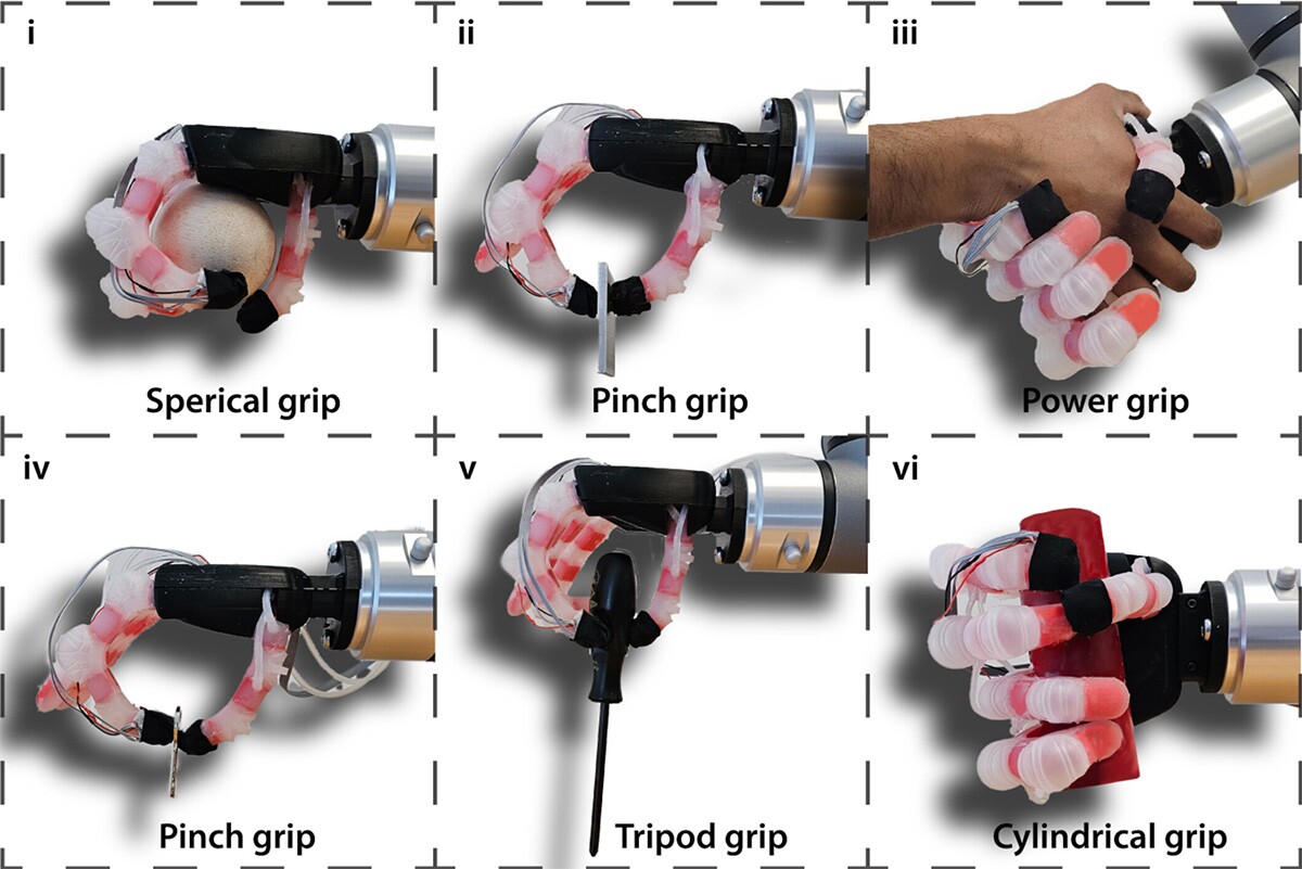 The prosthetic hand is capable of several different kinds of grips