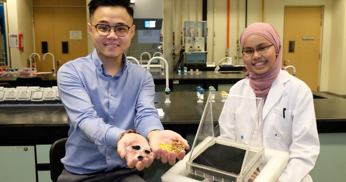 Simple process converts fruit waste into water-purifying material Simple process converts fruit waste into water-purifying material