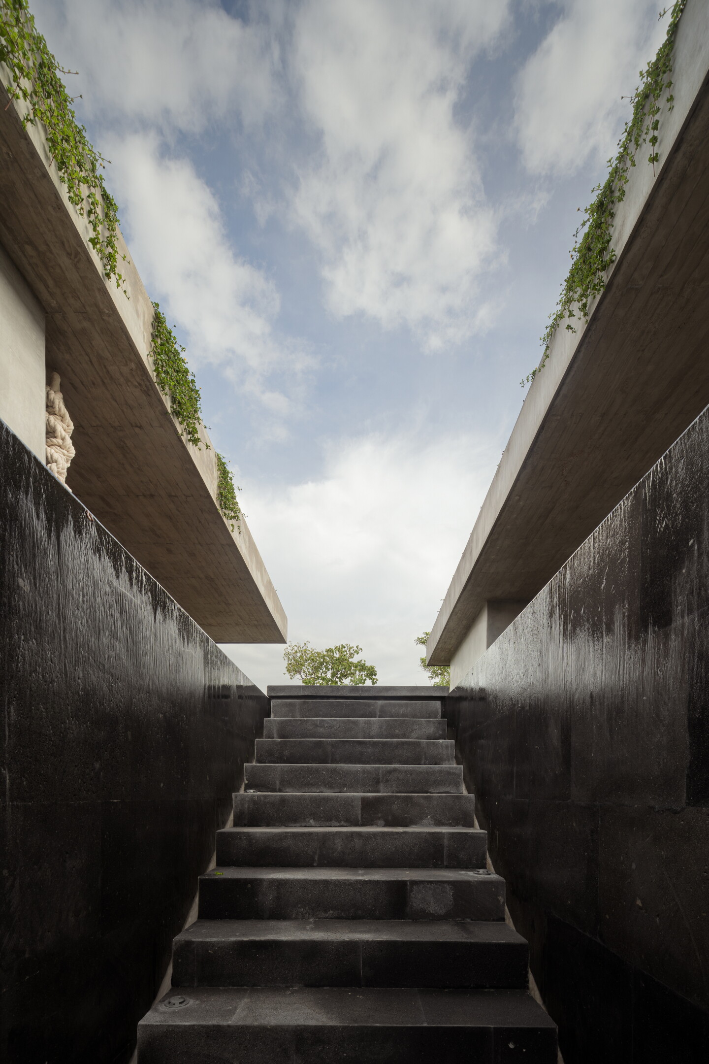 Gallery image with a fresh perspective