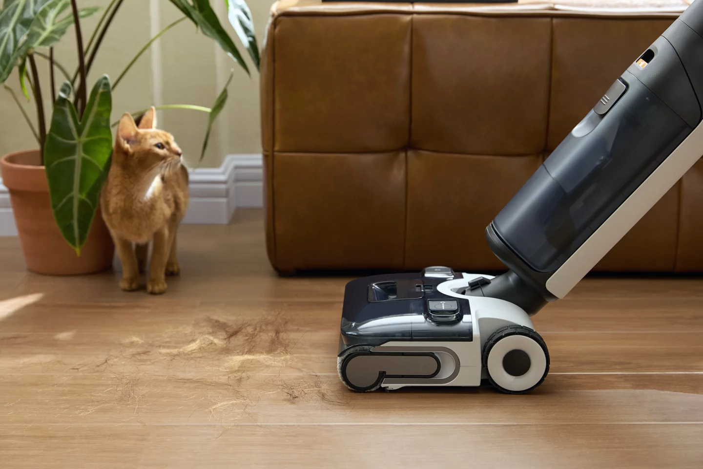 I vacuumed up ten times the floof seen in this image, and the F25 ACE handled it like a pro