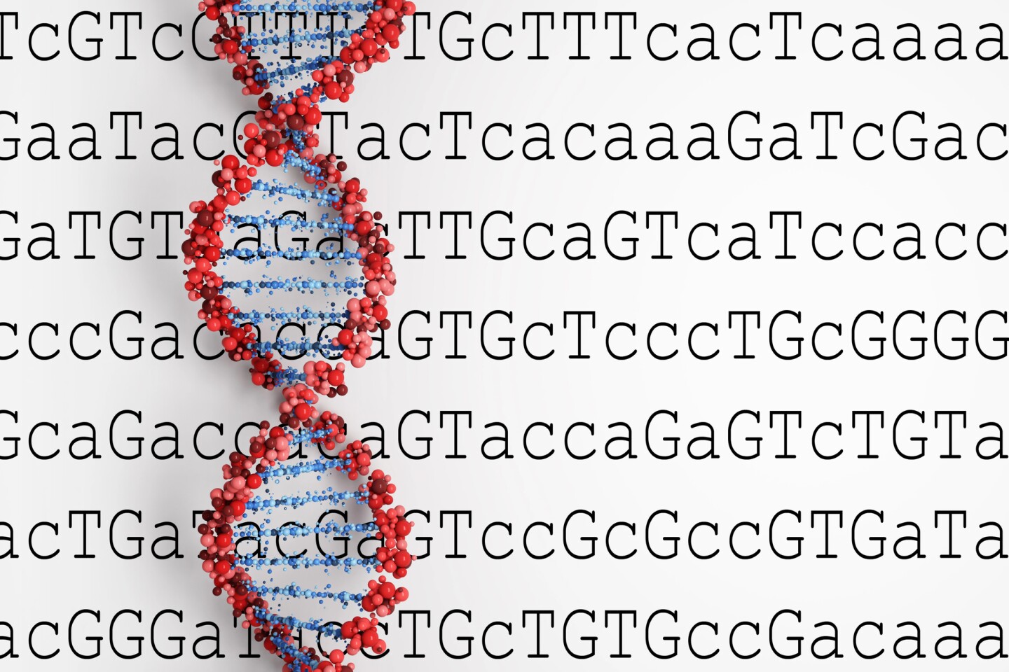 Organism with largest genome packs 50x more DNA than a human's