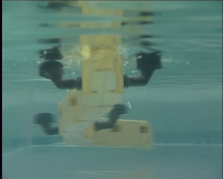 Salamandra robotica mimics a salamander by undulating its whole body to swim (Photo Credit: A. Crespi, Biorobotics Laboratory, EPFL)