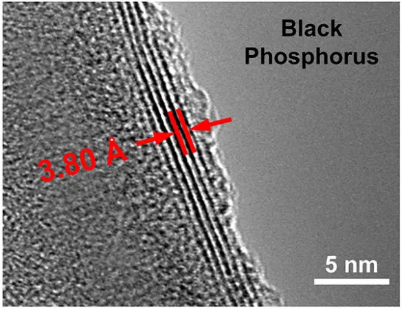 The device is made up of tiny layers of black phosphorus, which allows it to tap into even the smallest or slowest of human movements