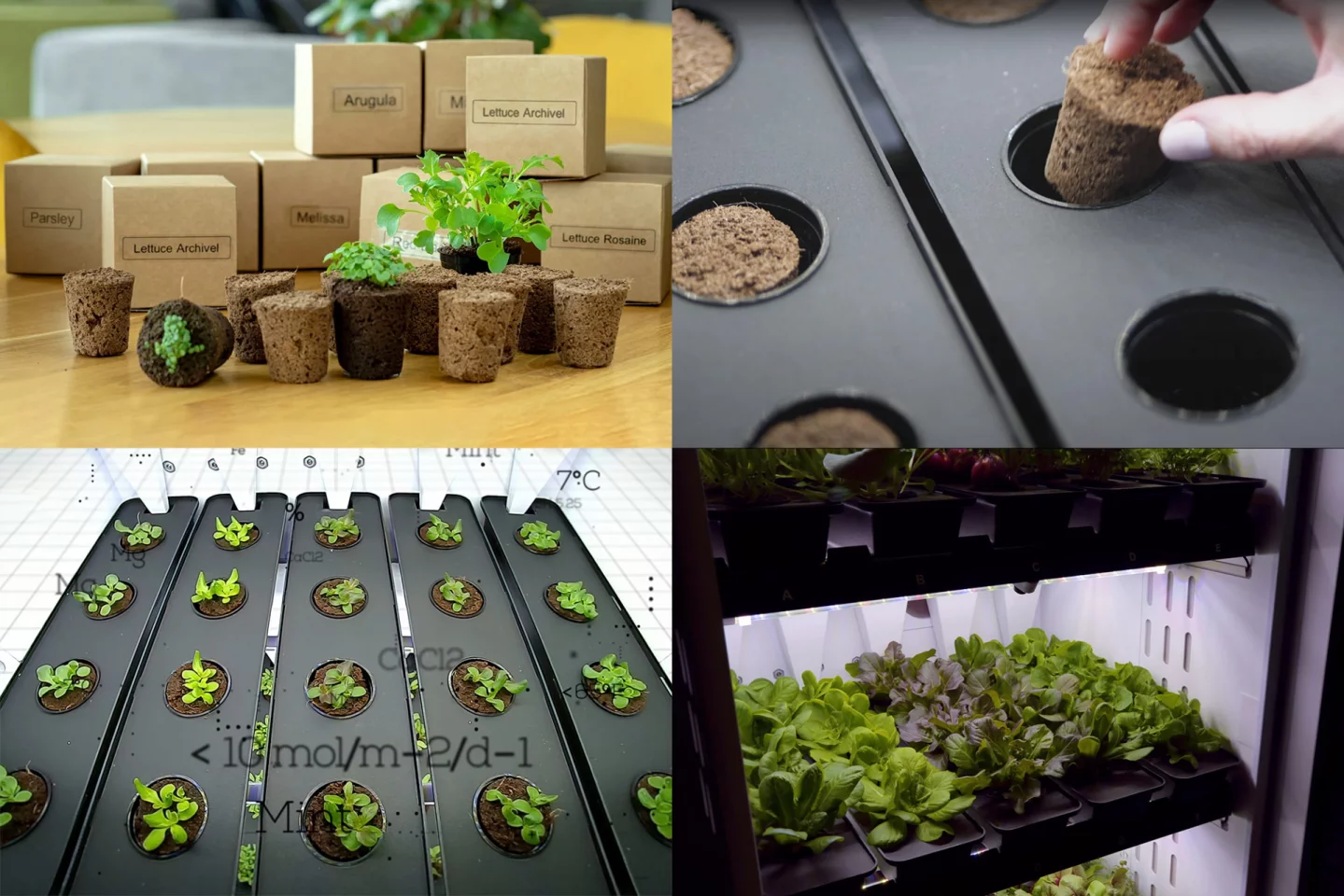 You order the seed pods you require on your app, they get delivered, you put them in the Agwa and it will monitor and nurture your plants to optimum health. You will know exactly what fertilizers, pesticides or other chemicals may have been used in growing the food you eat - none!