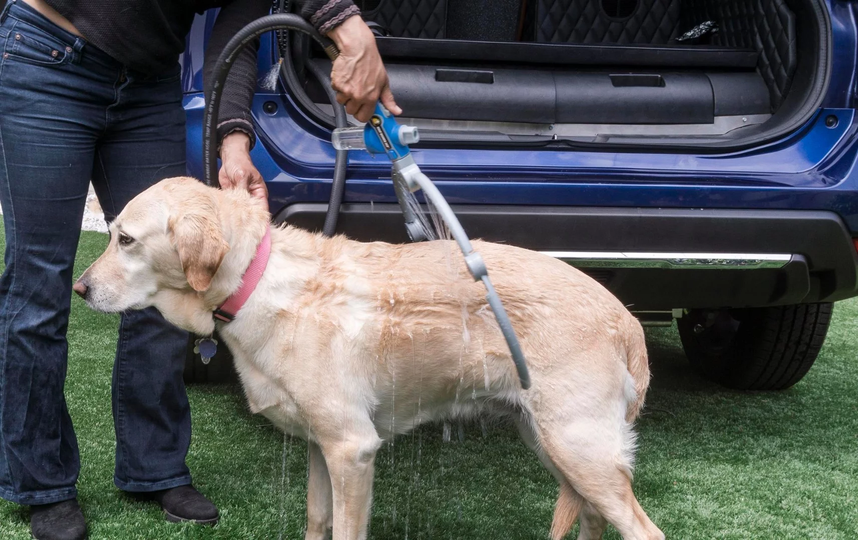 A built-in dog wash helps keep your dog clean because, as we all know, dogs love baths almost as much as cats do
