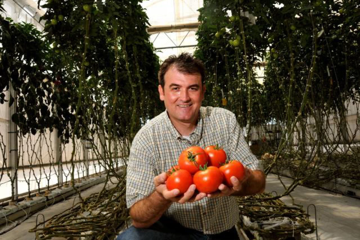 Murat Kacira at the Controlled Environment Agriculture Center (Image: Norma Jean Gargasz / UANews)