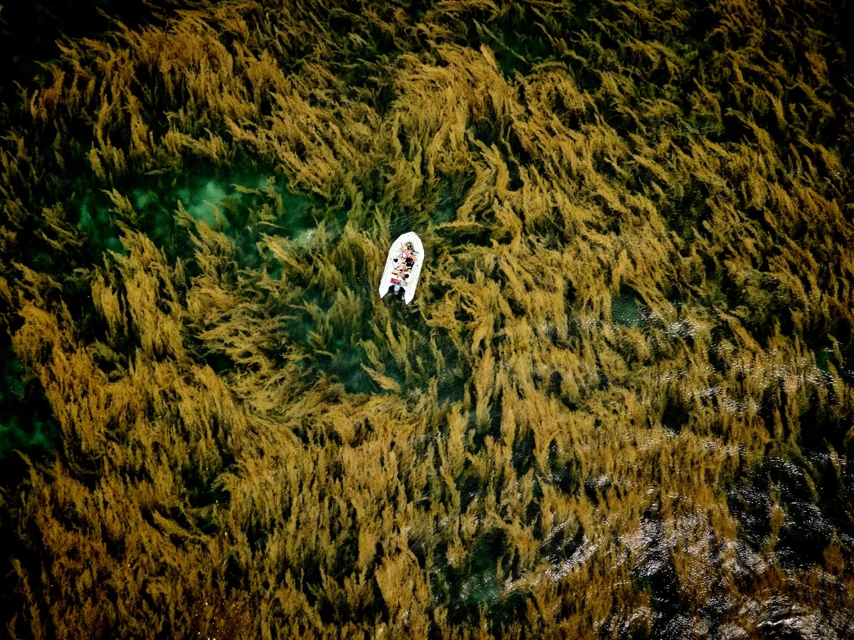 "Adrift in the Sea of Weeds," Vietnam National winner, Sony World Photography Awards 2026