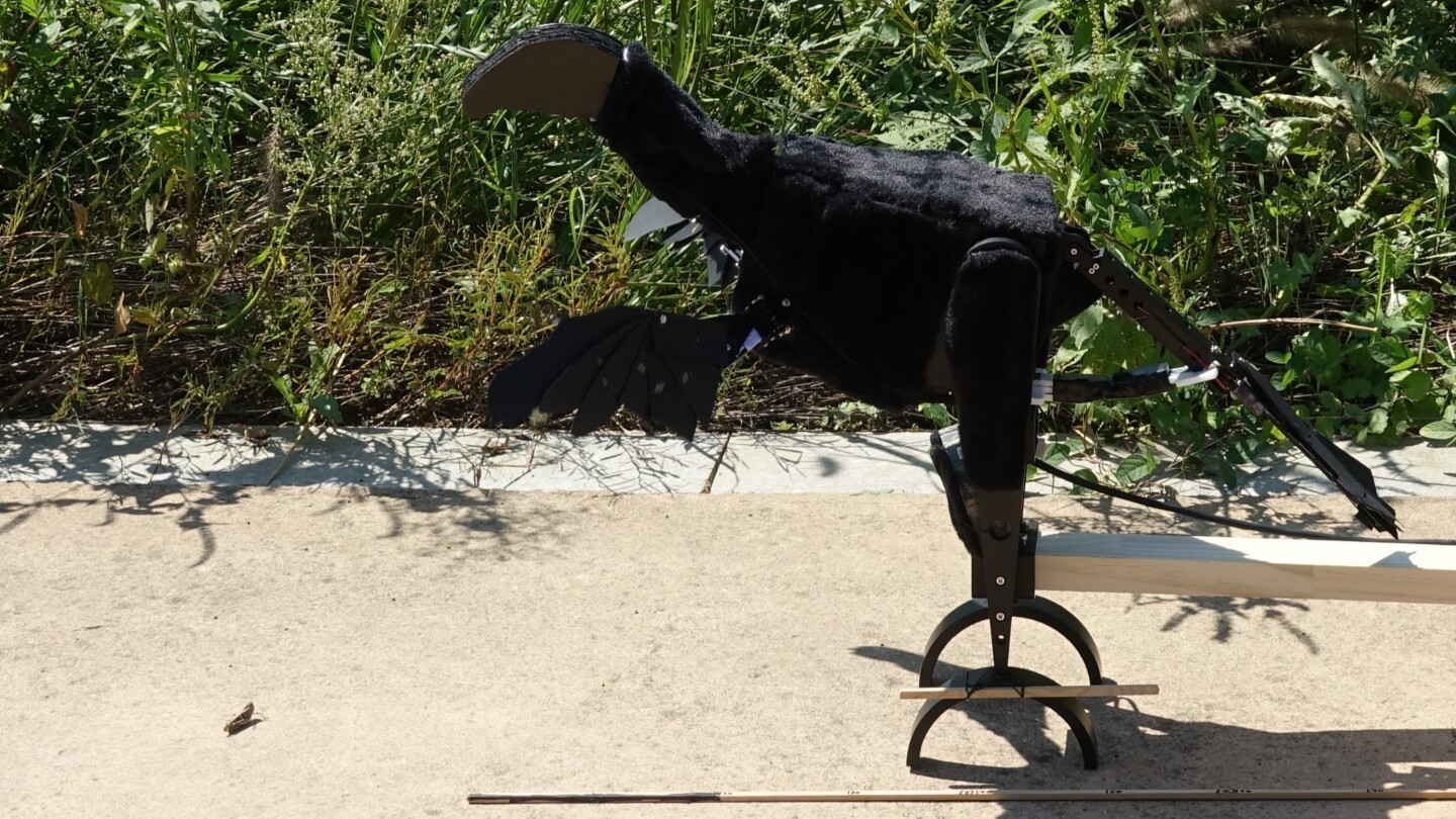 тираспольский военный аэродром. аэродромы волгоградской области. запасной аэродром. каунас военный аэродром. аэродрома мы убежим.