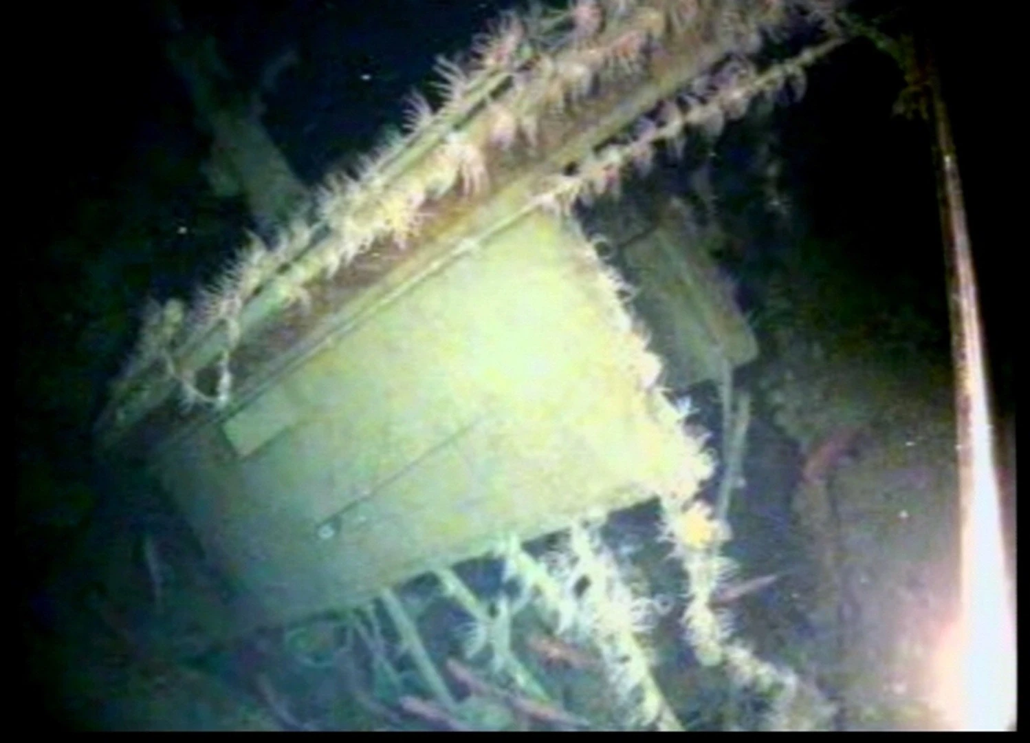 The rear of HMAS AE1’s fin broken away from its footings