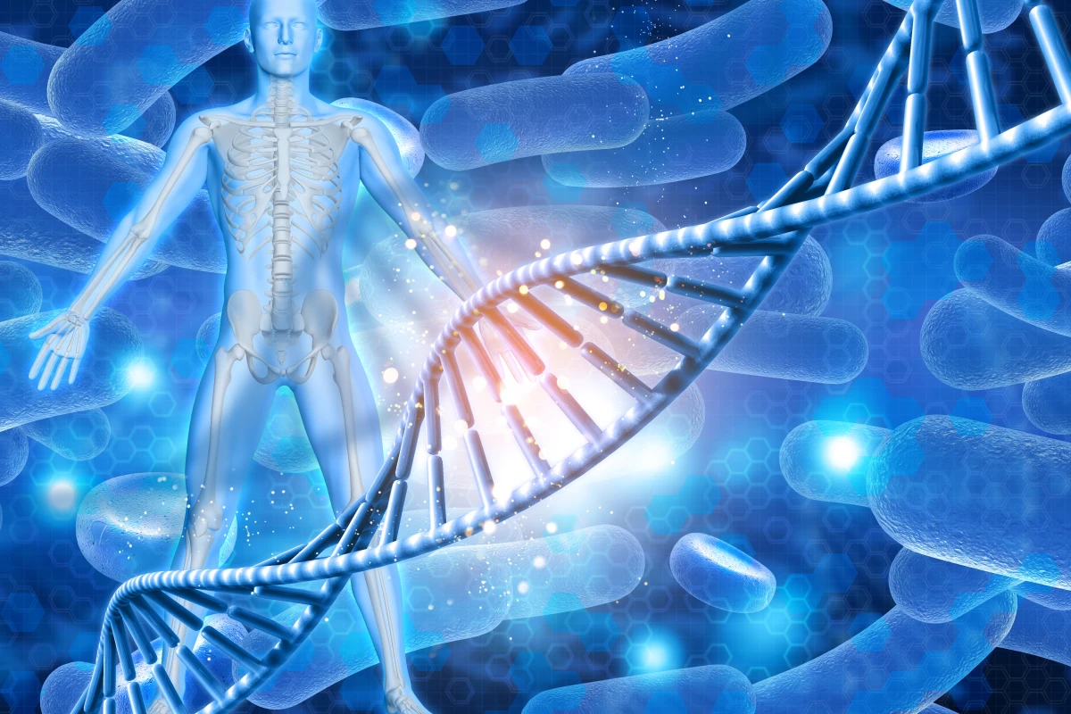 New research reveals insight into how our gut bacteria may changing the way genes are expressed in their hosts