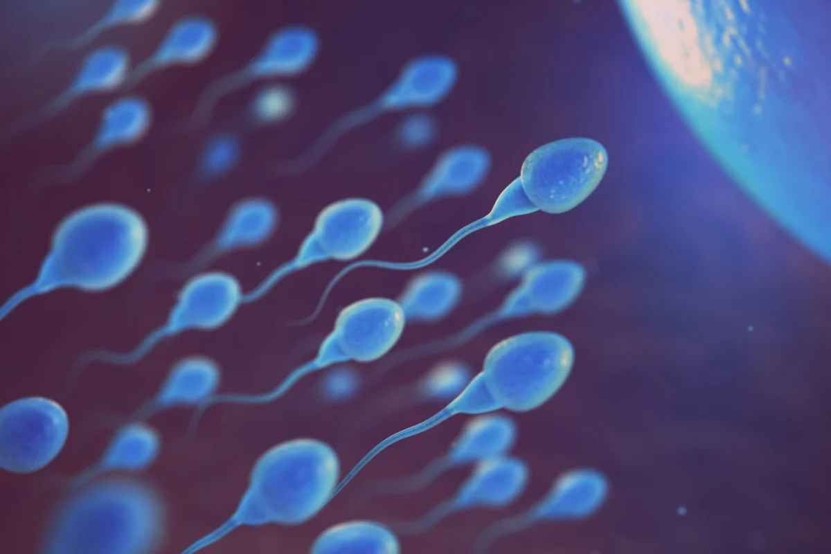 A thorough, yet observational, study found tight underwear does correlate with lower sperm counts, but not to a point where they are below a normal range