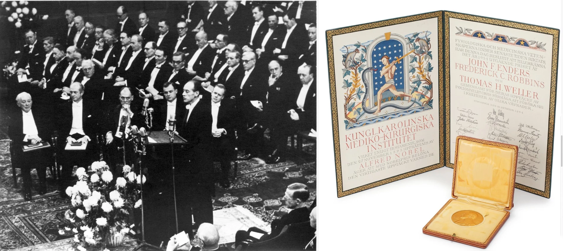 Nobel Laureate Frederick C. Robbins accepting his Noel Prize 63 years ago. Nobel Prize recipients are referred to as laureates. The word "laureate" comes from the laurel wreath that the mythological (apologies for the redundancy) god Apollo wore as his crown. In Ancient Greece, laurel wreaths were awarded to victors of sporting and poetic contests. As the Nobel awards were fighting their way into existence through the courts when the first modern Olympic Games of 1896 were held, the concept was borrowed by the Nobel Prize administration. The medals were meant to become the family heirlooms of the laureates, passed from generation to generation. Much has been written about the unravelling of the traditional family structure over the last century, and the sales history of Nobel Prize medals by the families illustrates that trend, with it only recently becoming either profitable or acceptable to sell a Nobel Prize.