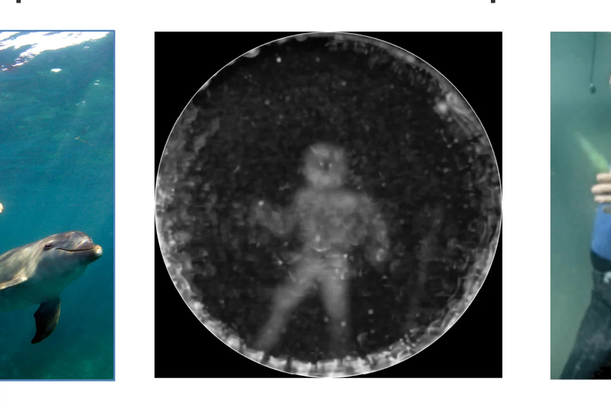 Images of the diver