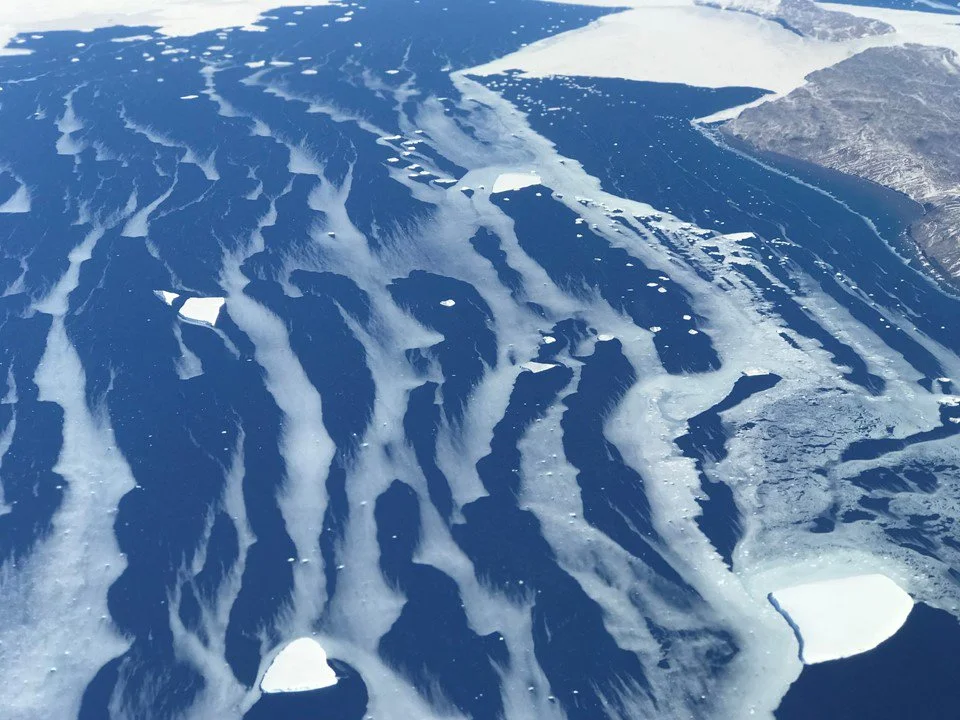 Icebergs and sea ice near the northern edge of the Antarctic Peninsula