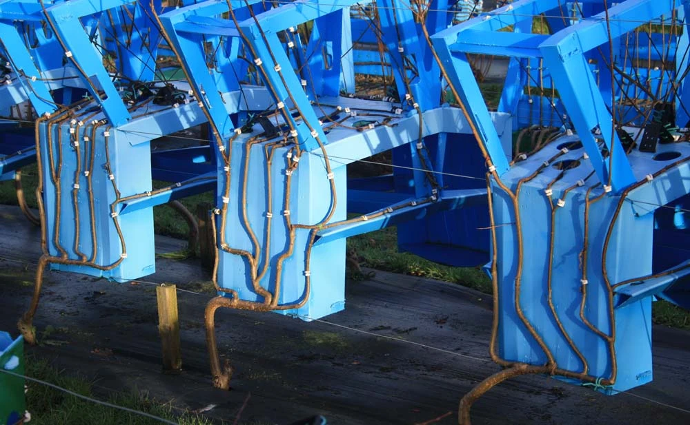 Chairs being created over plastic formers